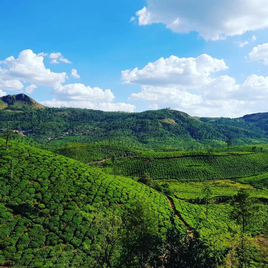 Mist Woods Vagamon Hotell Exteriör bild